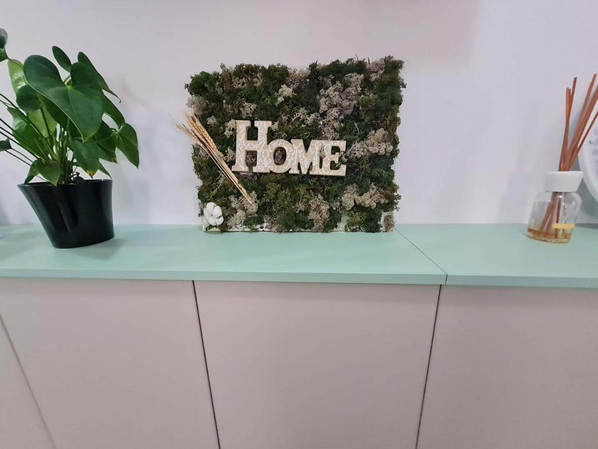 Sweet Home Sfintu Ilie Exterior photo